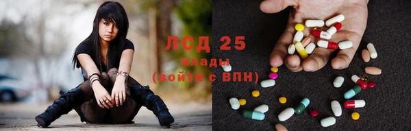 PSILOCYBIN Алексин