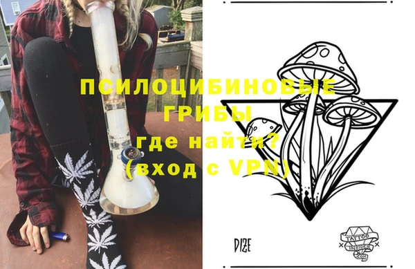 PSILOCYBIN Алексин