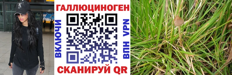 Галлюциногенные грибы Magic Shrooms  продажа наркотиков  Аша 